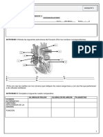 FICHA 3 Ciencias Naturales