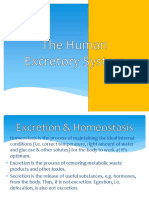 Excretory