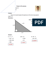 Project in Pre-Calculus: Grade 11-Aquamarine