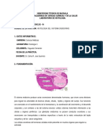 Practica 16 D1 - 2019 Histologia Del Sistema Endocrino