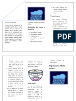 Triptico Lluvia Casera