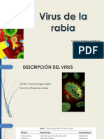 RABIA EXPO - PPTX Virologia