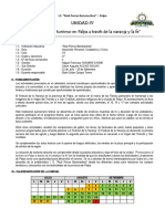 IV UNIDAD 4° Grado