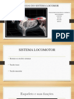 Patologia Locomotor Medicina Veterinária