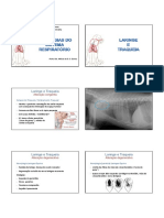 Patologia Do Sist. Resp 2 Medicina Veterinária