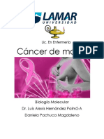 Cancer de Mama Biologia