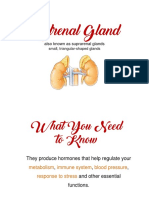 Adrenal Gland Grp5