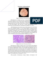 Morphology, Histopathology and Clinical Manifestation of FAM