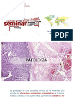 Que Es Un Seminario - Usmp Patología I 2019-II