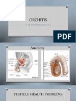 Orchitis: Dr. Egi Edward Manuputty, Sp.U