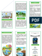 Triptico Ecosistema Romina