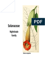 Solanaceae: Nightshade Family