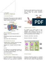 Apostila de Citologia 1º Ano