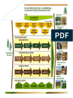 Proceso Productivo Del Pino