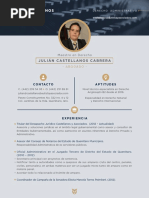 CV Julian Castellanos