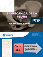 Biomecanica de La Pelvis PDF