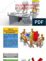 Departamentalización Por Proyectos