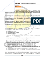 Nutricion Deportiva Libro PDF