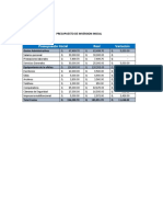 Presupuesto de Inversion Inicial