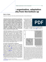 Artificial Life: Organization, Adaptation and Complexity From The Bottom Up