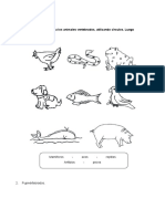 Ficha de Los Vertebrados para Tercero de Primaria