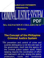 Criminal Justice System