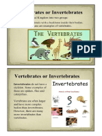 Vertebrates and Invertebrates