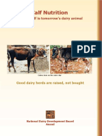 Calf Nutrition: Today's Calf Is Tomorrow's Dairy Animal