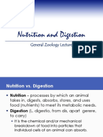 Nutrition and Digestion: General Zoology Lecture