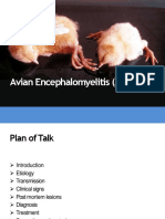 Avian Encephalomyelitis (AE)