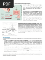 Tema 25. ENFERMEDADES MUSCULARES. Miopatías