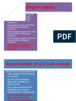 Analogous Organs: (D) Analogous Organs That Have Evolved Due To Convergent Evolution