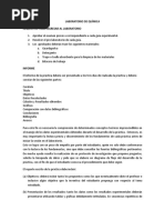 Instruccioneslaboratorio de Química