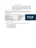 Planta Vuelta Grande INFORME WORD