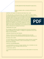 Control Biológico A Implementar para Prevenir Plagas en El Cultivo de Café