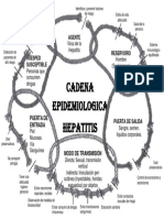 Cadena Epidemiologica de Hepatitis