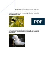 Animales Aereos