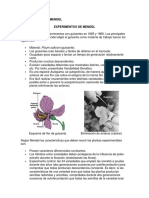 Experimentos de Mendel