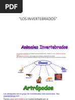 APUNTE - 1 - LOS - INVERTEBRADOS - PPT 2° Básico