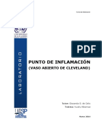 Punto de Inflamación Vaso de Cleveland