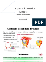 Hiperplasia Prostática Benigna