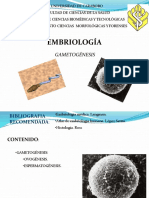 Embriologia