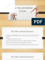 The Musculoskeletal System