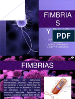 Fimbrias y Pilis