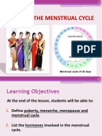 Menstrual Cycle