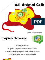 Grade 4 Unit 3 Lesson 1 Plant & Animal Cells