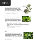 Plantas Medicinales