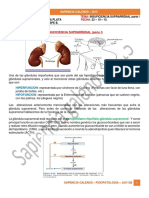 Insuficiencia Suprarrenal Parte 1