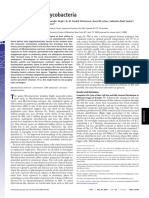 Sporulation in Mycobacteria