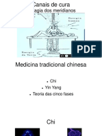 Canais de Cura - A Magia Dos Meridianos - Medicina Tradicional Chinesa